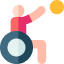 Icon of a person in a wheelchair playing with a ball